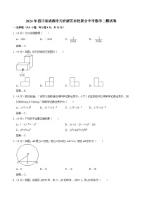 四川省成都市天府新区多校联考2024届九年级下学期中考二模数学试卷(含答案)