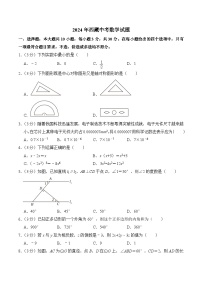 西藏2024届中考数学试卷(含答案)