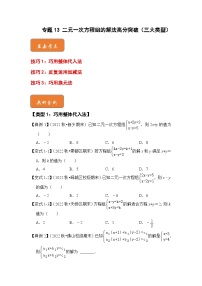 （人教版）数学七年级下册期末突破练习 专题13 二元一次方程组的解法高分突破（三大类型）（2份，原卷版+解析版）