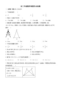 河北省石家庄市第三十八中学2024-2025学年九年级下学期开学考试 数学试题
