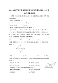 广东省深圳市富源学校2025届九年级上学期第一次月考数学试卷(含答案)