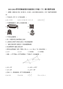 河南省郑州市新郑市2023-2024学年八年级下学期期中考试数学试卷(含答案)