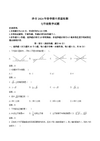 湖北省荆州市沙市区2023-2024学年七年级下学期期中质量检测数学试卷(含答案)