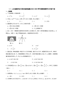 初中数学湘教版（2024）九年级下册1.1 二次函数当堂检测题