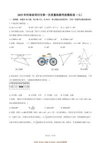 2025年河南省郑州市九年级下(一)月考考前模拟卷数学试卷(七)(含答案)