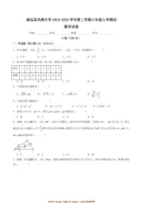 2024～2025学年四川省内江市威远县凤翔中学八年级下入学测试数学试卷(含答案)