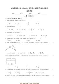 2024～2025学年四川省内江市威远县凤翔中学九年级下入学测试数学试卷(含答案)