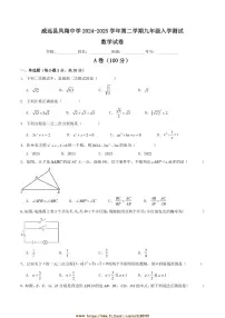 2024～2025学年四川省内江市威远县凤翔中学九年级下入学测试数学试卷(含答案)