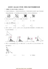 2024～2025学年安徽省安庆市第四中学九年级下开学检测数学试卷(含详解)
