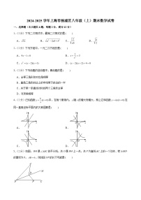 2024-2025学年上海市杨浦区八年级（上）期末数学试卷 （含解析）