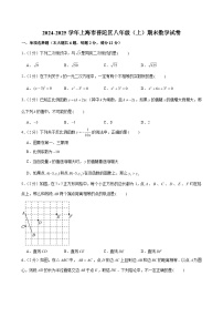 2024-2025学年上海市普陀区八年级（上）期末数学试卷 （含解析）