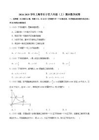 2024-2025学年上海市长宁区八年级（上）期末数学试卷 （含解析）