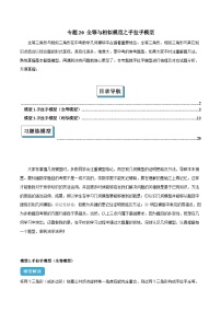 专题20 全等与相似模型之手拉手--2025年中考数学二轮复习几何模型综合训练(通用版)