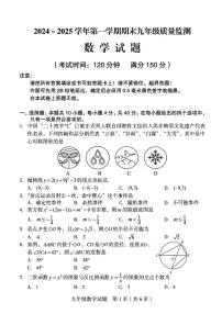 福建龙岩2024-2025学年九年级上学期期末考试数学试题（含答案）
