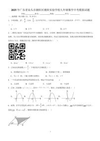 2025年广东省汕头市潮阳区潮阳实验学校九年级数学中考模拟试题（含答案）