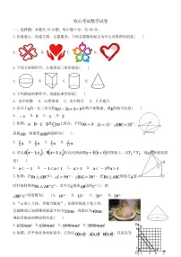 湖北黄石市大冶市2024-2025学年九年级下学期开学考试数学试题（含答案）