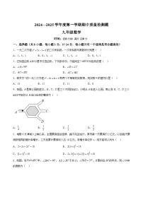 陕西省宝鸡市金台区2025届九年级上学期期中检测数学试卷(含解析)