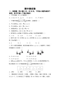 期中测试卷（试卷） -2024-2025学年华东师大版（2024）七年级数学下册