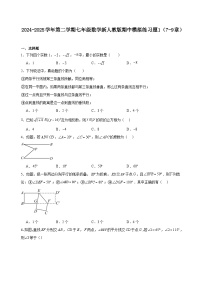 期中模拟练习题1（7-9章）2024-2025学年七年级下学期人教版数学