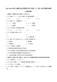 2023-2024学年上海市宝山区罗南中学八年级（下）第二次月考数学试卷（五四学制）
