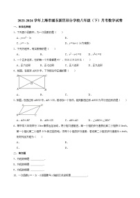 2023-2024学年上海市浦东新区部分学校八年级（下）月考数学试卷