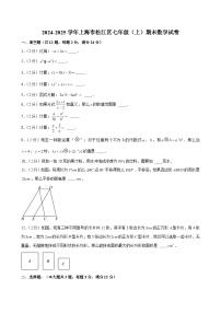 2024-2025学年上海市松江区七年级（上）期末数学试卷 （含解析）