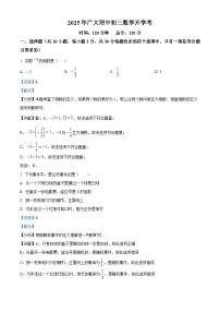 广东省广州市广州大学附属中学2024-2025学年下学期九年级 数学开学考试试卷（含解析）