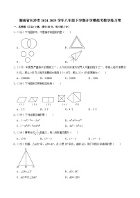 湖南省长沙市2024-2025学年八年级下学期开学模拟考 数学练习卷（含解析）