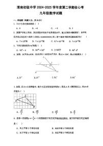 陕西省渭南市临渭区渭南初级中学2024-2025学年九年级下学期开学考试 数学试题（PDF版）