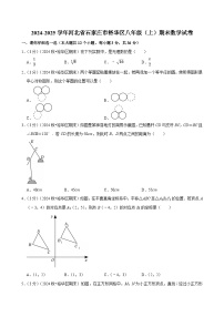 河北省石家庄市裕华区2024-2025学年八年级上学期期末数学试卷（含答案与解析）