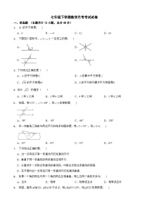 广西东兴市2025年七年级下学期数学月考考试试卷含答案