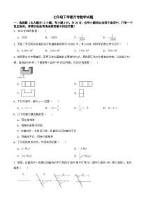 广西壮族自治区南宁市2025年七年级下学期月考数学试题含答案