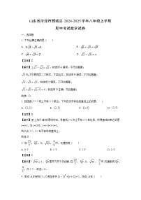 山东省菏泽市鄄城县2024-2025学年八年级(上)期中考试数学试卷（解析版）