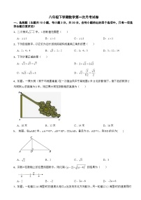 辽宁省大连市2025年八年级下学期数学第一次月考试卷含答案