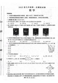 2025年河南省周口市郸城县名校联考九年级一模数学试卷