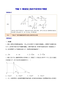 中考数学难点突破与经典模型精讲练(全国通用)专题15解直角三角形中的母抱子模型(原卷版+解析)