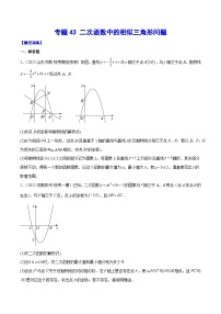 中考数学难点突破与经典模型精讲练(全国通用)专题43二次函数中的相似三角形问题(原卷版+解析)