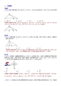 2024年中考数学真题分类汇编：知识点29  直角三角形、勾股定理2024（解析版）