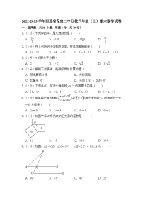 2022-2023学年河北省保定市三中分校八年级（上）期末数学试卷解析版