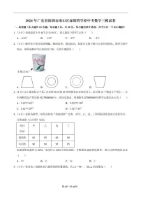 2024年广东省深圳市南山区深圳湾学校中考数学三模试卷（含解析）