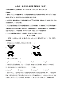 广东省广州市白云区2024-2025学年八年级上学期1月期末数学试题（原卷版+解析版）