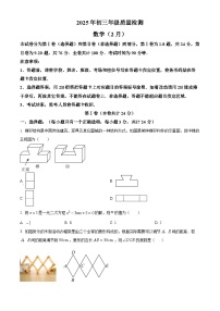 广东省深圳市31校 2024—2025学年下学期2月九年级质量检测数学试题  （原卷版+解析版）