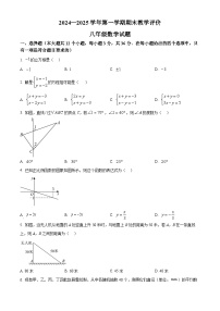 河北省保定市莲池区2024-2025学年八年级上学期1月期末数学试题（原卷版+解析版）