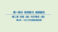 一元二次方程及其应用课件 2025年中考数学一轮专题复习
