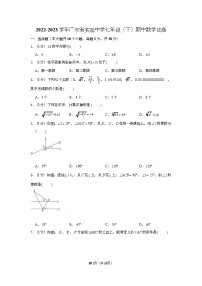 2022-2023学年广东省实验中学七年级（下）期中数学试卷（含答案）