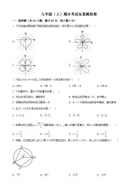 九年级上学期期末数学试题 (22)
