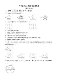 九年级上学期期末数学试题 (26)