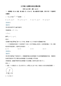 九年级上学期期末数学试题 (87)
