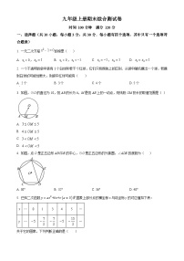 九年级上学期期末数学试题 (88)