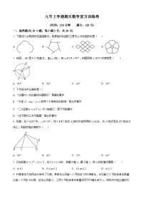 九年级上学期期末数学试题 (82)
